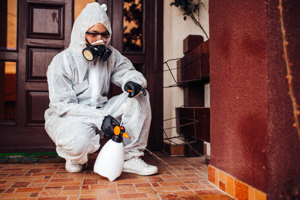 Attic and Crawl Space Rodent Treatment in East Berlin